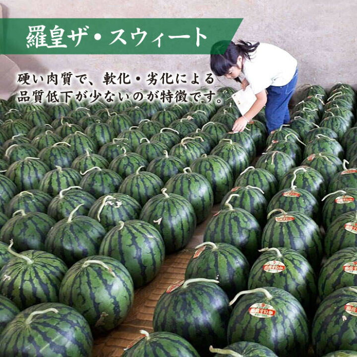 楽天市場 ふるさと納税 びっくり大玉 面高すいか約9kg以上 1玉 九州 長崎県 スイカ 瓜 太田幸男 Ccn004 長崎県西海市
