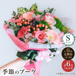 yӂ邳Ɣ[Łzy6ցzy  ̂炵z G  u[P t[AWg STCYԍH[ӂ [CCR012]  C  ԑ j Mtg v[g LO a