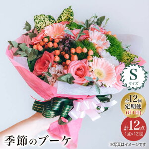 yӂ邳Ɣ[Łzy12ցzy  ̂炵zG߂ u[P t[AWg STCYԍH[ӂ [CCR013]  C  ԑ j Mtg v[g LO a
