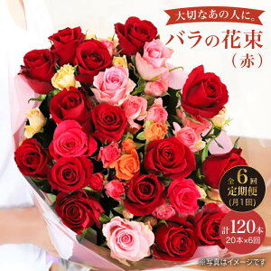 yӂ邳Ɣ[Łzy6ցzyLOɂ o 𑗂낤z o  ԑ iԁjԍH[ӂ [CCR021]  C  ԑ j Mtg v[g LO a