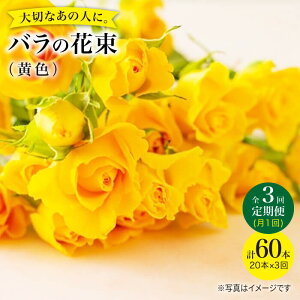 yӂ邳Ɣ[Łzy3ցzyLOɂ o 𑗂낤z o  ԑ i  jԍH[ӂ [CCR032]  C  ԑ j Mtg v[g LO a