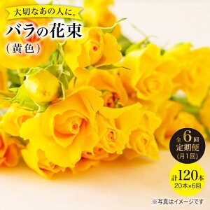 yӂ邳Ɣ[Łzy6ցzyLOɂ o 𑗂낤z o  ԑ i  jԍH[ӂ [CCR033]  C  ԑ j Mtg v[g LO a
