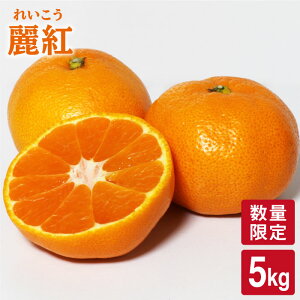 yӂ邳Ɣ[Łzy2{zJnzy40z g iꂢj 5kgʎ [CCW003]  C ~J  ʕ k fU[g ₷ Ö ʏ`  yY v[