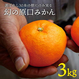 【ふるさと納税】【年内配送/12月上旬より配送】 幻の 原口みかん 約3kg＜原口果樹園＞[CCW004] 長崎 西海 みかん 蜜柑 原口みかん 柑橘 幻 甘い 高級 贈答 ギフト