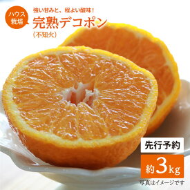 【ふるさと納税】【4月上旬より順次配送】【糖度13～15度】ハウス木成 完熟 デコポン 不知火 約3kg ＜原口果樹園＞[CCW005] 長崎 西海 みかん ミカン でこぽん 贈答 ギフト