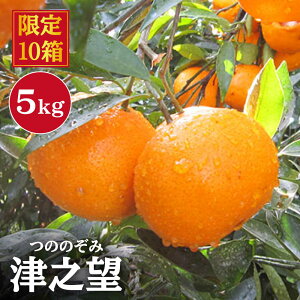 yӂ邳Ɣ[Łzy1{菇zzÔV]i̂̂݁j5kgʎ[CCW009]  C ݂ ~J k IW ʕ t[c  Mtg