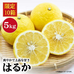 yӂ邳Ɣ[Łzy2{菇zz͂邩 5kgʎ[CCW010]  C ݂  k  ʕ t[c  Mtg