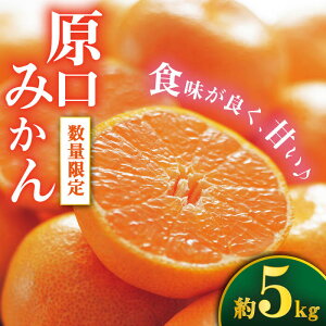yӂ邳Ɣ[Łzy11{蔭z ݂ 5kg DaEIWASAKI FARM [CCZ004] ݂ ~J  k C݂ ʕ t[c  v[g Mtg