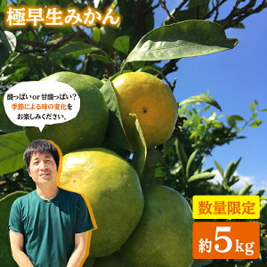 yӂ邳Ɣ[Łzyʌ聙s\zy10{蔭z  ݂ iEj 5kg DaEIWASAKI FARM [CCZ002] ݂ ~J  k C ݂  v[g Mtg