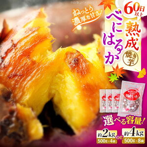 yӂ邳Ɣ[Łzy˂ƂƂ낯Âz ng͂邩 Ă 2kg or 4kgn̂̂ [CDA012]  Cs ܂  Tc}C Ă Ĉ Â g͂邩