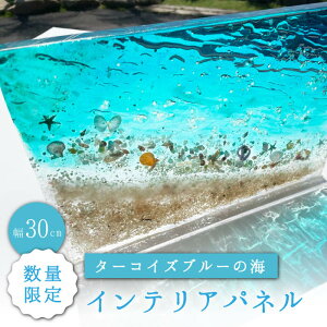 yӂ邳Ɣ[Łzy10izCeApl ^[RCYu[̊CStudio KAI by Yuji hamamura [CDH015] CeA Ǌ| pl G  C } r[`