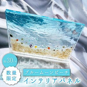 yӂ邳Ɣ[Łzy10izCeApl u[[r[`Studio KAI by Yuji hamamura [CDH017] CeA Ǌ| pl G  C } r[`