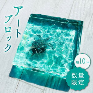 yӂ邳Ɣ[Łzy30izA[gubN GhO[̊CƃJ XPg CeAStudio KAI by Yuji hamamura [CDH018] CeA G  C } r[`  蕨