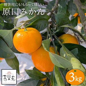 yӂ邳Ɣ[Łzys\񁙑ɂIXXzǔbv ݂  3kgt@[܂邾 [CDT005] 茧 Cs ݂ ~J k t[c C IW ʕ ~J  Mt