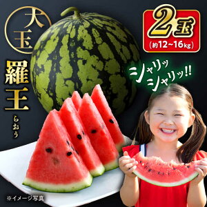 �y�ӂ邳�Ɣ[�Łz�y��s�\��F2026�N7����{���z���z ���� �X�C�J 2�ʁi��12kg�`16kg�j���t�@�[���܂邾�� [CDT006] ���� ���C ������ �X�C�J ���Z ���c �ʕ� �t���[�c �M�t�g ���� ��