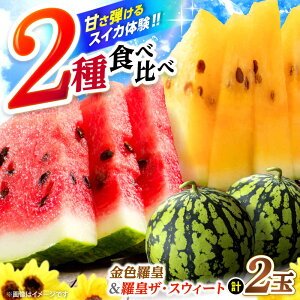 �y�ӂ邳�Ɣ[�Łz �y��s�\��F2026�N7����{���z���z �y�H�ה�ׁz ���F���c�����c�U�E�X�E�B�[�g�i�v2�ʁj ���t�@�[���܂邾��[CDT008] �X�C�J ���Z ������ �� �ʕ� �Ԃ����� ���F���Z �Y