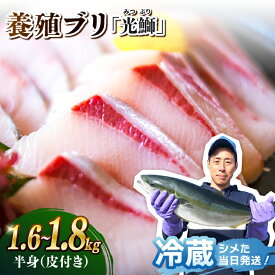 【ふるさと納税】【着日指定可】養殖ブリ「光鰤」半身 皮付き 1.6～1.8kg＜小山水産＞ [CDZ005] 鮮魚 ブリ 刺身 ぶり 産地直送 新鮮 海の幸 着日指定 魚 ブロック 下処理済み