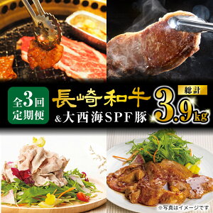 yӂ邳Ɣ[Łzy炱zy3ցz a 吼CSPF 3 v3.9kg 󂠂 吼Ct@[ [CEK184]  C SPF a T[C ܐ؂ [낢  ē 