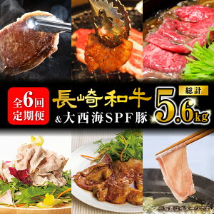 yӂ邳Ɣ[ŁzyX^Izy6ցz a 吼CSPF  uhY؁吼Ct@[ [CEK185]