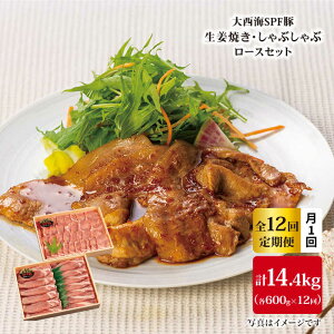 yӂ邳Ɣ[Łzy󂠂zy11.2kg×12ցz吼CSPF w[X 傤ĂpԂԗp 吼Ct@[ [CEK101]