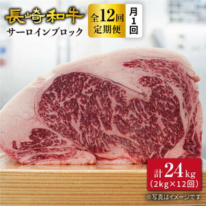 yӂ邳Ɣ[Łzy󂠂zy12kg×12ցza T[CubN v24kg吼Ct@[ [CEK116]