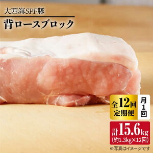 yӂ邳Ɣ[Łzy󂠂zy11.3kg×12ցz吼CSPF w[XubN 吼Ct@[ [CEK117]