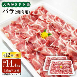 yӂ邳Ɣ[Łzy󂠂zy11.2kg×12ցz吼CSPF oiēpj吼Ct@[ [CEK121]