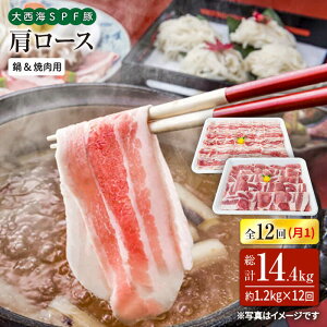 yӂ邳Ɣ[Łzy11.2kg×12ցz吼CSPF [XiēԂԗpjv14.4kg 󂠂 吼Ct@[ [CEK124]  C ؓ uh Y ؃o XCX 