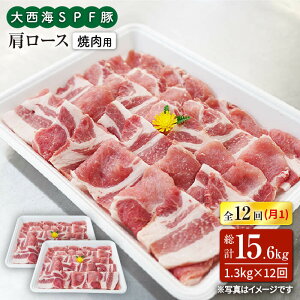 yӂ邳Ɣ[Łzy󂠂zy11.2kg×12ցz吼CSPF [Xiēpj吼Ct@[ [CEK125]