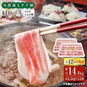 yӂ邳Ɣ[Łzy󂠂zy11.2kg×12ցz吼CSPF [XiԂԗpj吼Ct@[ [CEK126]