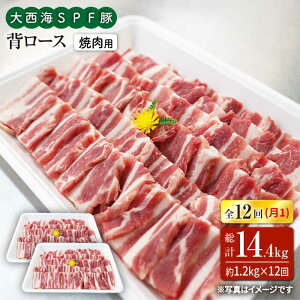 yӂ邳Ɣ[Łzy󂠂zy11.2kg×12ցz吼CSPF w[Xiēpj吼Ct@[ [CEK128]