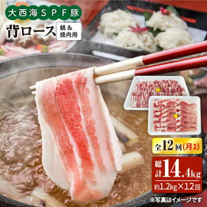 yӂ邳Ɣ[Łzy󂠂zy11.2kg×12ցz吼CSPF w[XiēԂԗpj吼Ct@[ [CEK129]