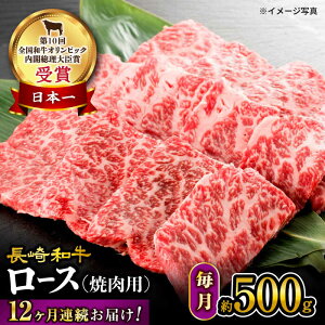 yӂ邳Ɣ[Łzy 󂠂 zy12  z a [X ēp 500g×12ց吼Ct@[ [CEK146]  a Hi  Y uh  [X  ē BBQ 