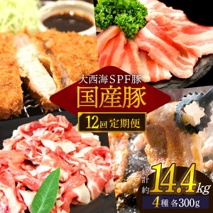 yӂ邳Ɣ[Łzy󂠂zy12ցzylCܐ؂z吼CSPF Y ؓ4 1.2kgZbg y吼Ct@[HHZ^[z [CEK169]