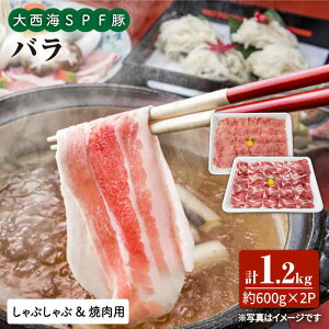 yӂ邳Ɣ[Łzy󂠂zyZbgz吼CSPF oiēԂԗpjv1.2kgi600g×2pbNj吼Ct@[ [CEK033]