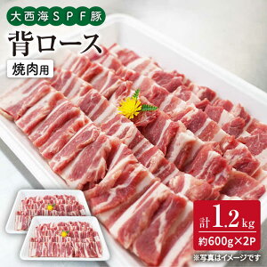 yӂ邳Ɣ[Łzyēvz吼CSPF w[X ēp v1.2kgi600g×2pbNj 󂠂 吼Ct@[ [CEK038] ē w[X  Hi  Y ؓ [X  ē BBQ 