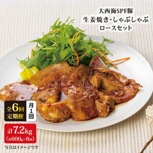yӂ邳Ɣ[Łzy󂠂zy11.2kg×6ցz吼CSPFؔw[X傤ĂpԂԗp吼Ct@[[CEK043]