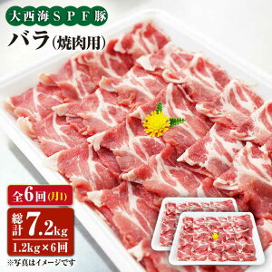 yӂ邳Ɣ[Łzy󂠂zy11.2kg×6ցz吼CSPF oiēpj吼Ct@[ [CEK083]