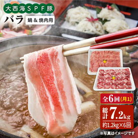 【ふるさと納税】【訳あり】【月1回1.2kg×6回定期便】大西海SPF豚 バラ（焼肉＆しゃぶしゃぶ用＜大西海ファーム＞ [CEK087]