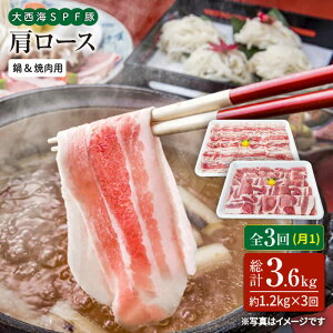 yӂ邳Ɣ[Łzy11.2kg×3ցz吼C SPF [XiēԂԗpjv3.6kg 󂠂 吼Ct@[ [CEK088]  C ؓ uh Y ؃o XCX 