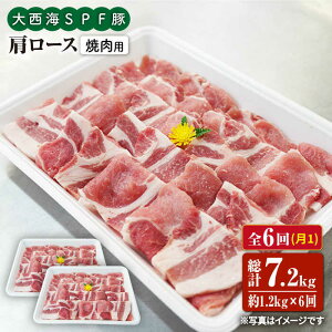 yӂ邳Ɣ[Łzy󂠂zy11.2kg×6ցz吼CSPF [Xiēpj吼Ct@[ [CEK091]