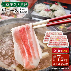 yӂ邳Ɣ[Łzy󂠂zy11.2kg×6ցz吼CSPF [XiԂԗpj吼Ct@[ [CEK093]