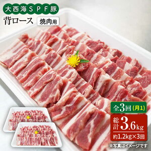 yӂ邳Ɣ[Łzy󂠂zy11.2kg×3ցz吼CSPF w[Xiēpjv3.6kg吼Ct@[ [CEK096]  C Y SPF [X ē  Mtg 󂠂