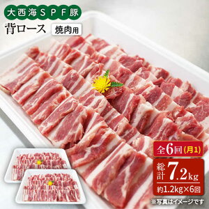 yӂ邳Ɣ[Łzy󂠂zy11.2kg×6ցz吼CSPF w[Xiēpj吼Ct@[ [CEK097]