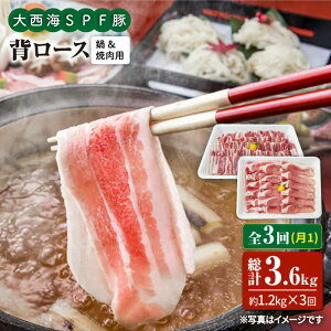 yӂ邳Ɣ[Łzy󂠂zy11.2kg×3ցz吼CSPF w[XiēԂԗpj吼Ct@[ [CEK098]
