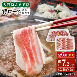 yӂ邳Ɣ[Łzy󂠂zy11.2kg×6ցz吼CSPF w[XiēԂԗpj吼Ct@[ [CEK099]