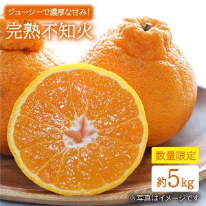 yӂ邳Ɣ[Łzy3{菇zypɂz n sm 5kg ʎ [CEL003]  C ~J  ʕ t[c k fU[g n ʏ`  yY 