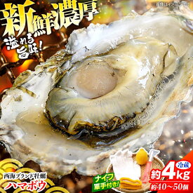 【ふるさと納税】【着日指定可】西海 ブランド 牡蠣 「 ハマボウ 」 約4kg（40～50個）（中～大サイズ）＜ハマフジ水産＞ [CES006] カキ かき 貝 ブランド 贈答 プレゼント ギフト 4kg BBQ 鍋 ナイフ付き 着日指定 牡蠣
