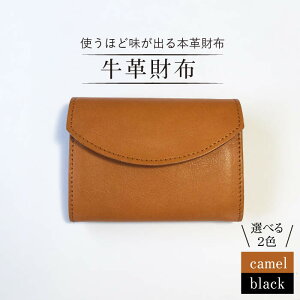 yӂ邳Ɣ[Łzyigzvz L/Obs[TEh [CEV003]