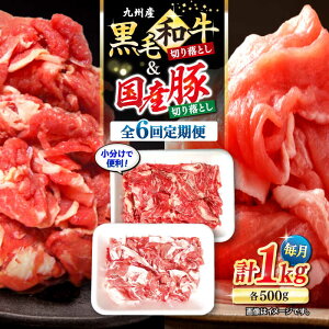 yӂ邳Ɣ[Łzy6ցzy炱IzBYјa Y ؂藎Ƃ v6kgi1kg×6j {{{Y [CFA020]